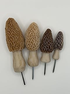 Morel Mushroom Decoys