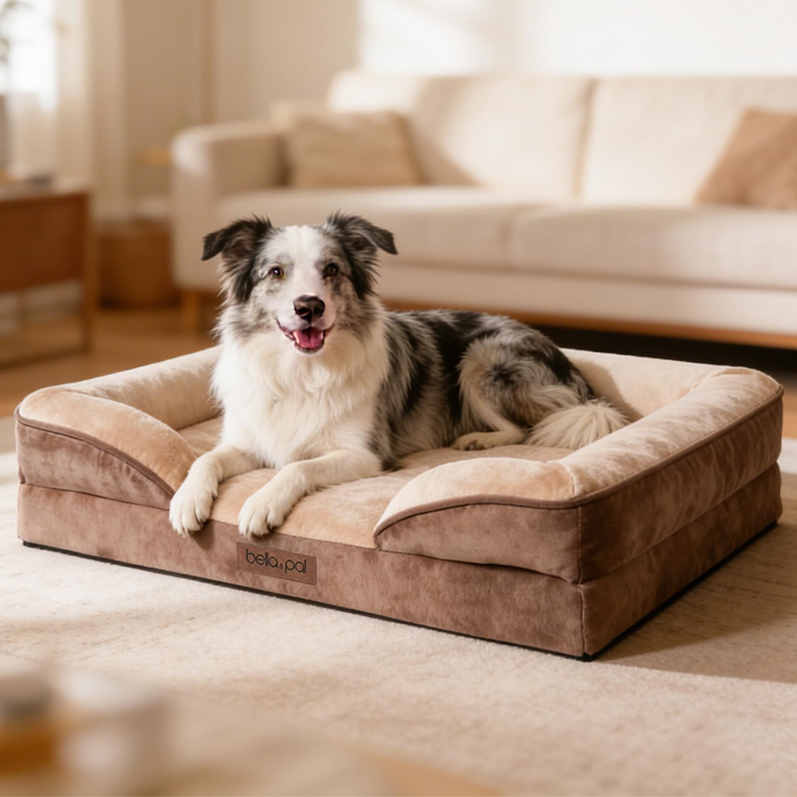 BELLA & PAL Orthopädisches Hundebett, Ergonomisches Hundesofa für kleine/mittlere Hunde-Ohne Montage, Eierschaum | wasserdichter Einlage | Flanell Abnehmbarer Bezug | Rutschfester Boden