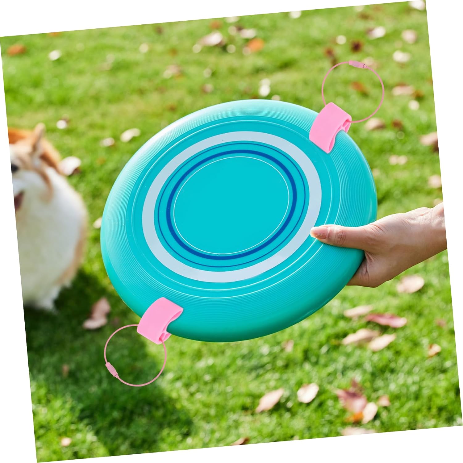 Portable Flying Disc Clamp Holder Durable Disc Clip for Outdoor Sports Team Competitions and Casual Play image 5