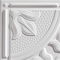 Vista 1 de Genesis Azulejos de techo blancos antiguos – Fácil instalación – Impermeable, lavable y resistente al fuego – PVC de alta calidad para evitar
