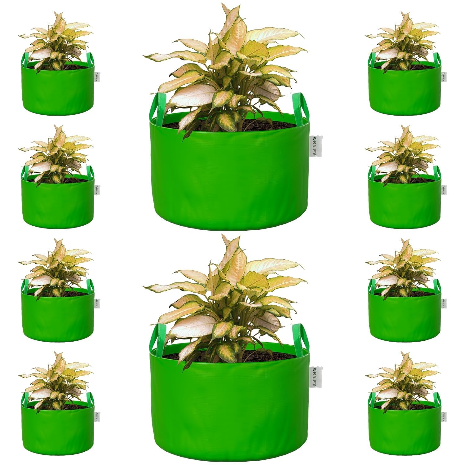 Oriley Grow Bags - Durable Plant Containers -8 Oriley Grow Bags - Durable Plant Containers -8