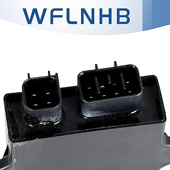 Amazon.com: WFLNHB Ignitor CDI Box Replacement for Yamaha