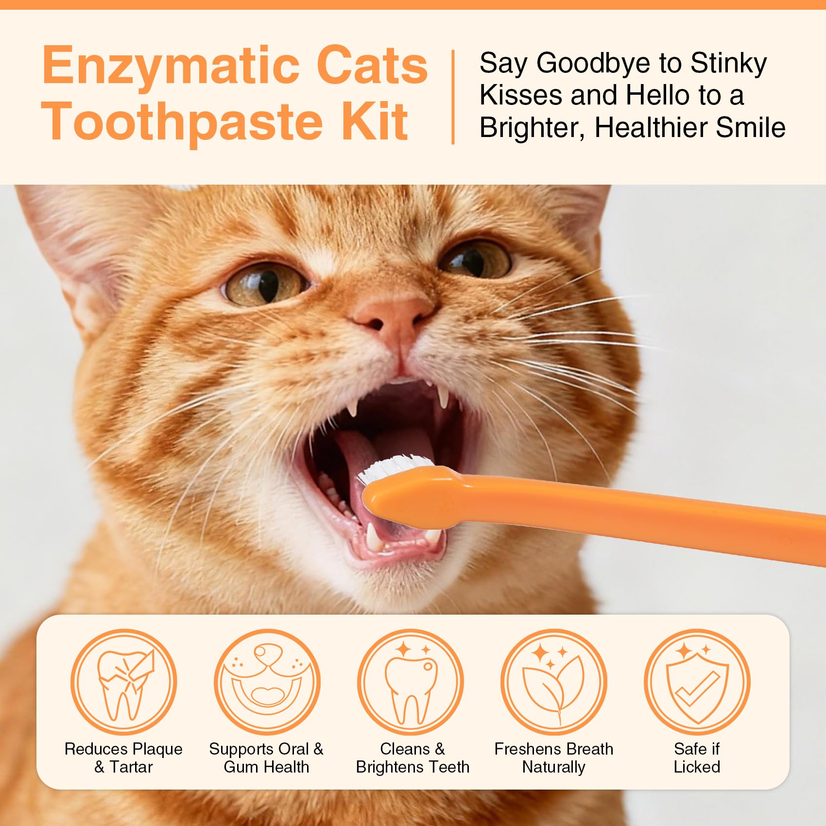 Enzymatic Cat Toothpaste Kit – Roast Chicken Flavor Dental Care for Cats & Kittens | Fights Plaque, Tartar & Bad Breath | Includes Toothbrush & Finger Brush, 1.06 oz - image 3