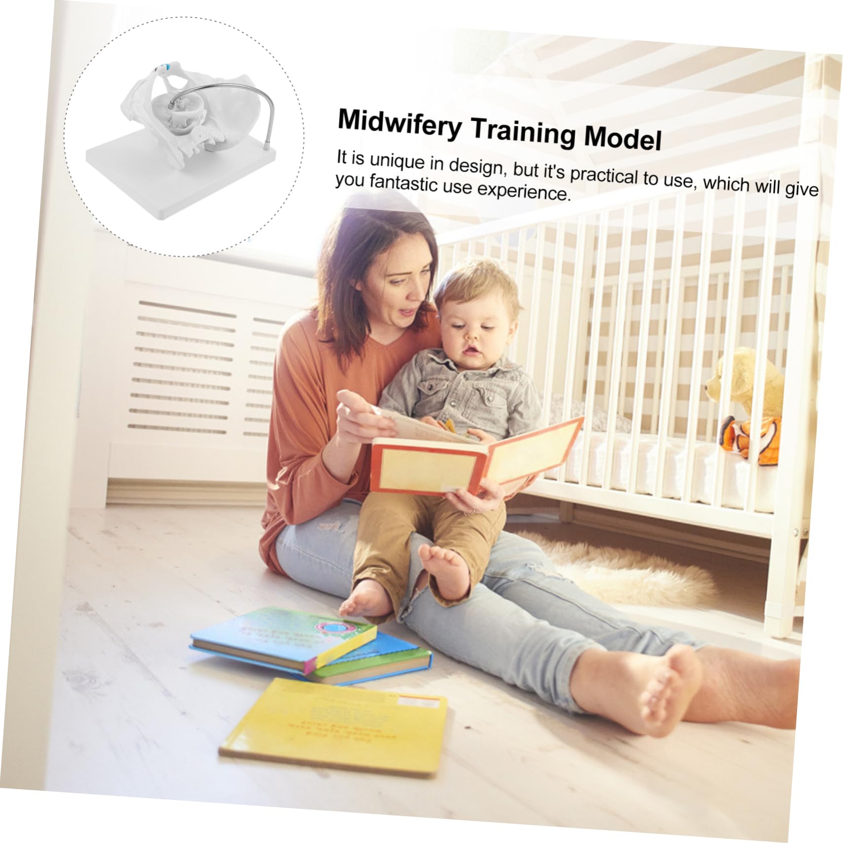 Ciieeo Female Bone Model Foam Model for Women Educative Simulation Human Organ