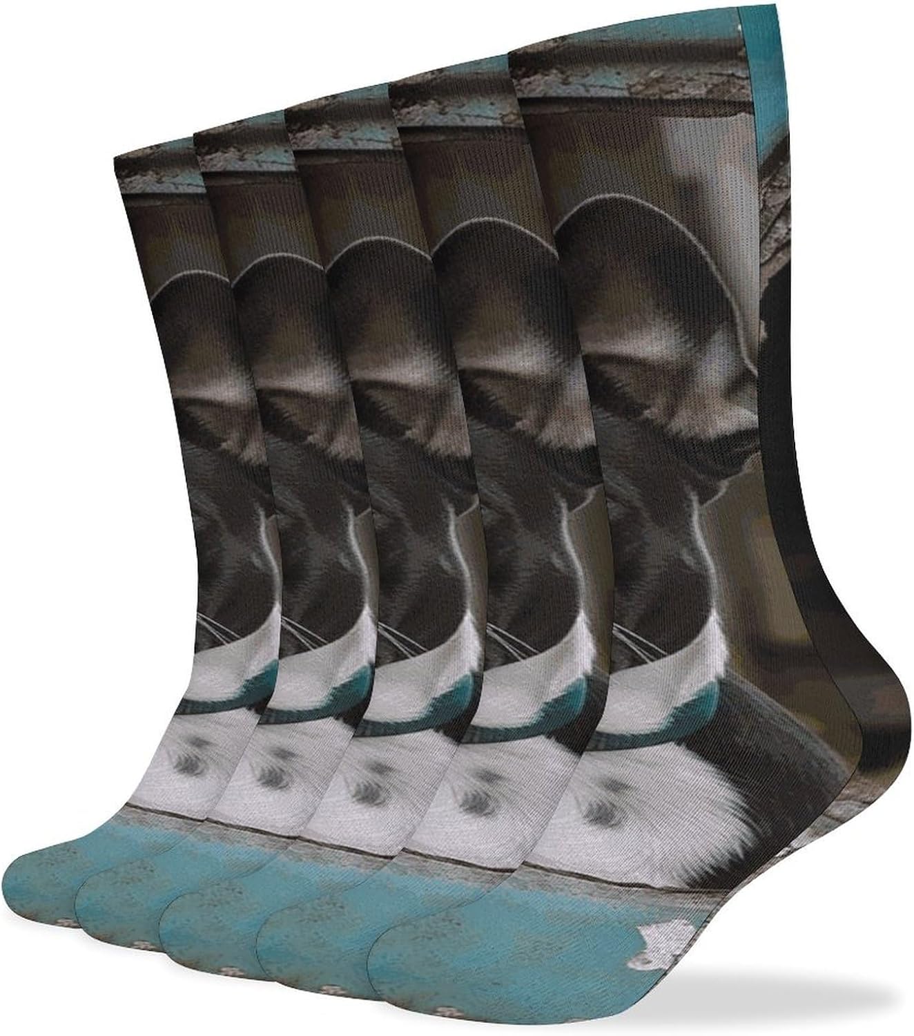 5-Pack Knee High Socks, 15.7 Inch Breathable Casual Socks Boston Terrier Stockings for Men Women