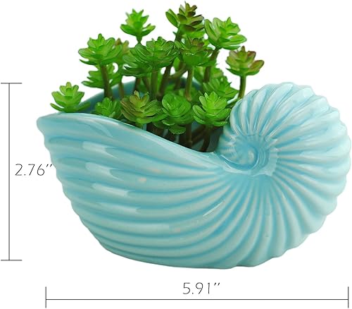 Miniatura 5 de VanEnjoy Maceta de cerámica para suculentas de 5 pulgadas, bonita serie de conchas azul océano, maceta de cactus en forma de caracola, maceta de