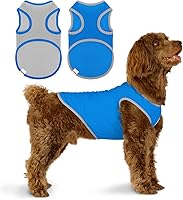 Vista 2 de Paquete de 2 camisas refrescantes para perros, camisa de malla ligera transpirable para perros medianos y niños, camisas sin mangas con protección
