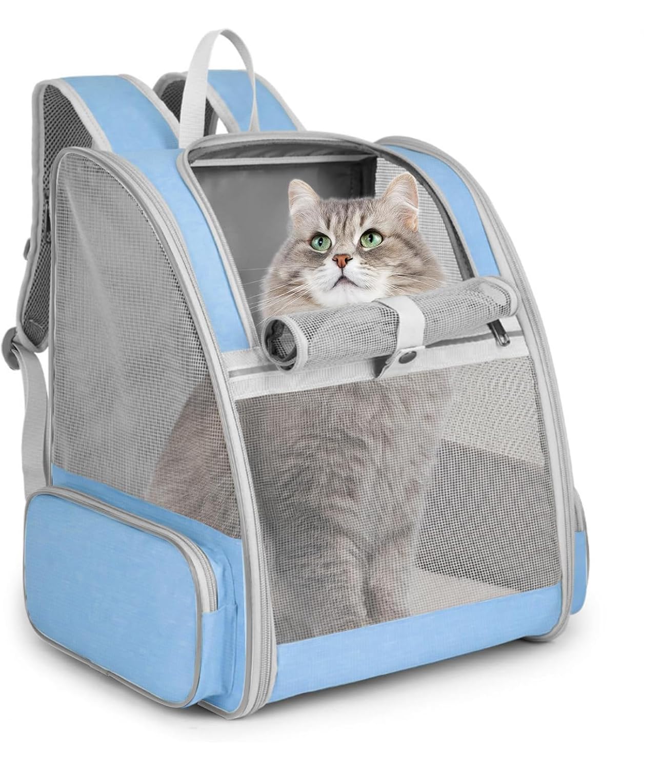 Sac à dos transparent pour voyage et transport de chat ou petit chien