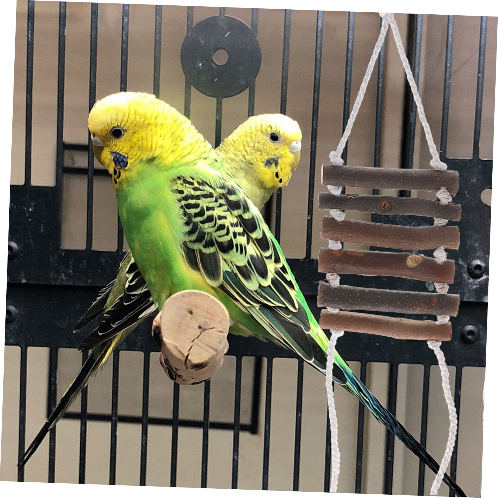 DOITOOL 9pièces Jouets à Mâcher pour Oiseaux De Jouets Naturel Et Corde pour Perroquets Accessoires De Jeu pour Cage à Oiseaux Stimule Instinct Naturel De Mâcher Grimper
