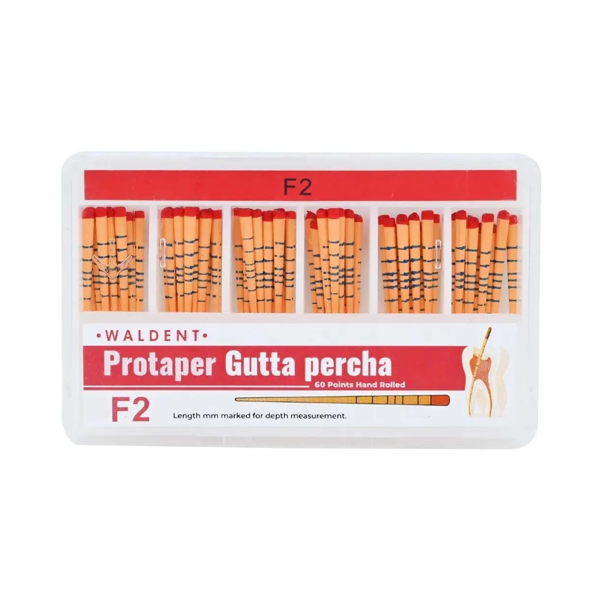 Waldent Gutta Percha Points Protaper #F2 | Length Marked | Root Canal Filling Material | Sterile & Radiopaque | Endodontic Dental Supplies | Protaper Compatible-image-40