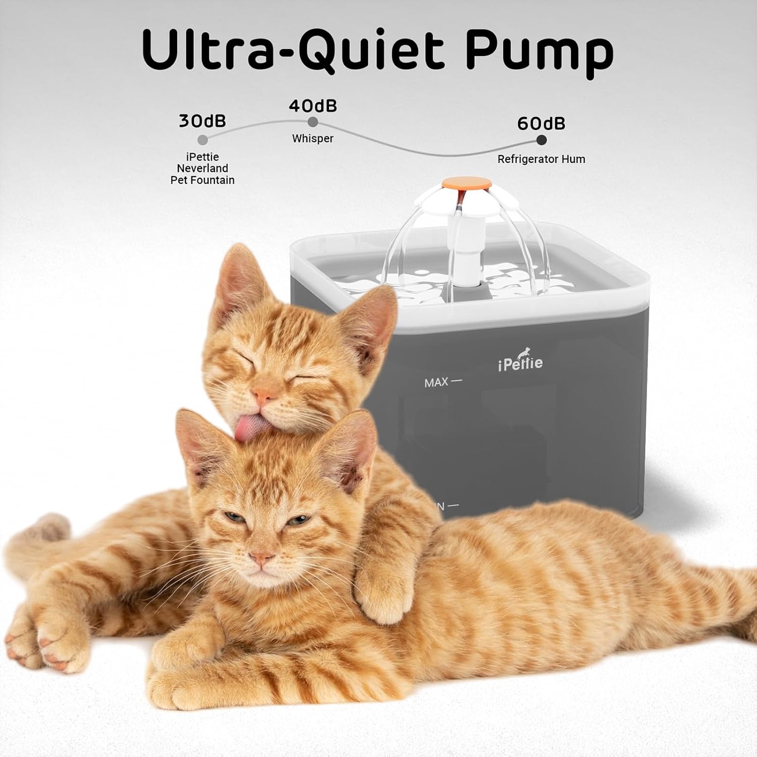 iPettie Neverland Cat Water Fountain with LED Light, 67oz/2.0L, Ultra Quiet Drinking Waterer, Automatic Filtered Water Dispenser, Water Purifier for Pets, Grey