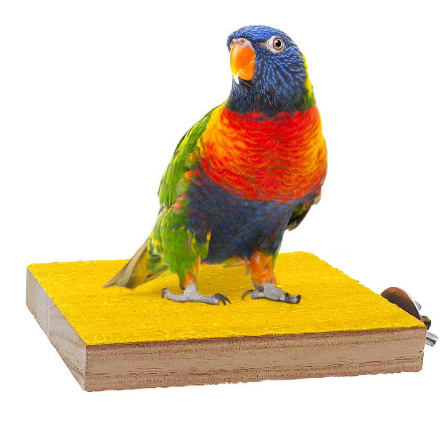 Allazone 6 PCS Bird Perch Stand Toy, Wood Parrot Perch Stand Playground Paw Grinding Clean Chew Toy for Pet Parrot, Hamster or Chinchilla — view 6