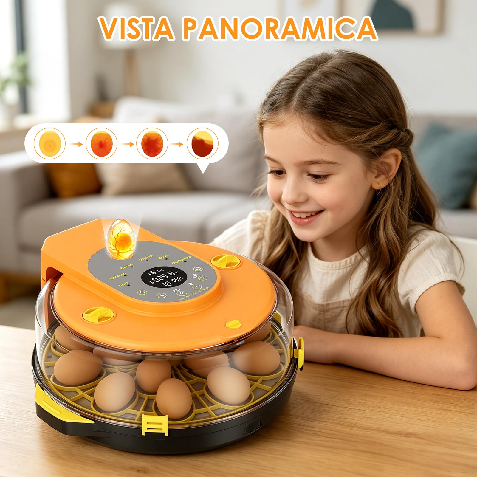 Incubatrice per Uova Automatica, Incubatrice 15 Uova Rotazione Automatica delle Uova, Controllo della Temperatura e dell’Umidità, Adatto all’Incubazione di Uova di Gallina, Anatra, Oca