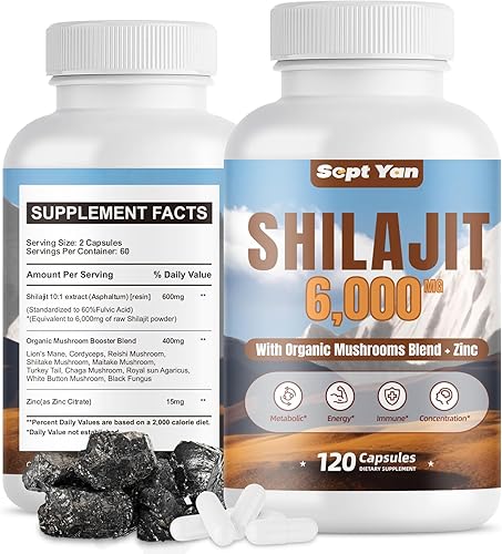 Shilajit - Cápsulas del Himalaya – Suplemento orgánico puro del Himalaya con mezcla de hongos, zinc, suministro de 2 meses para fuerza, resistencia,