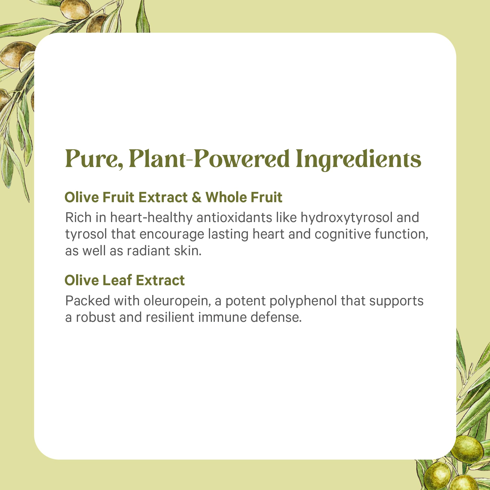 PURE SYNERGY SuperPure Olive Extract (60 Capsules) — Amazon image 5