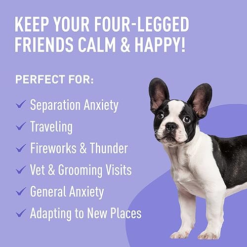 Miniatura 3 de Natures Synergy - Paquete de 2 aceites de cáñamo para mascotas para perros gatos y mascotas calmante ácidos grasos omega soporte de cadera y