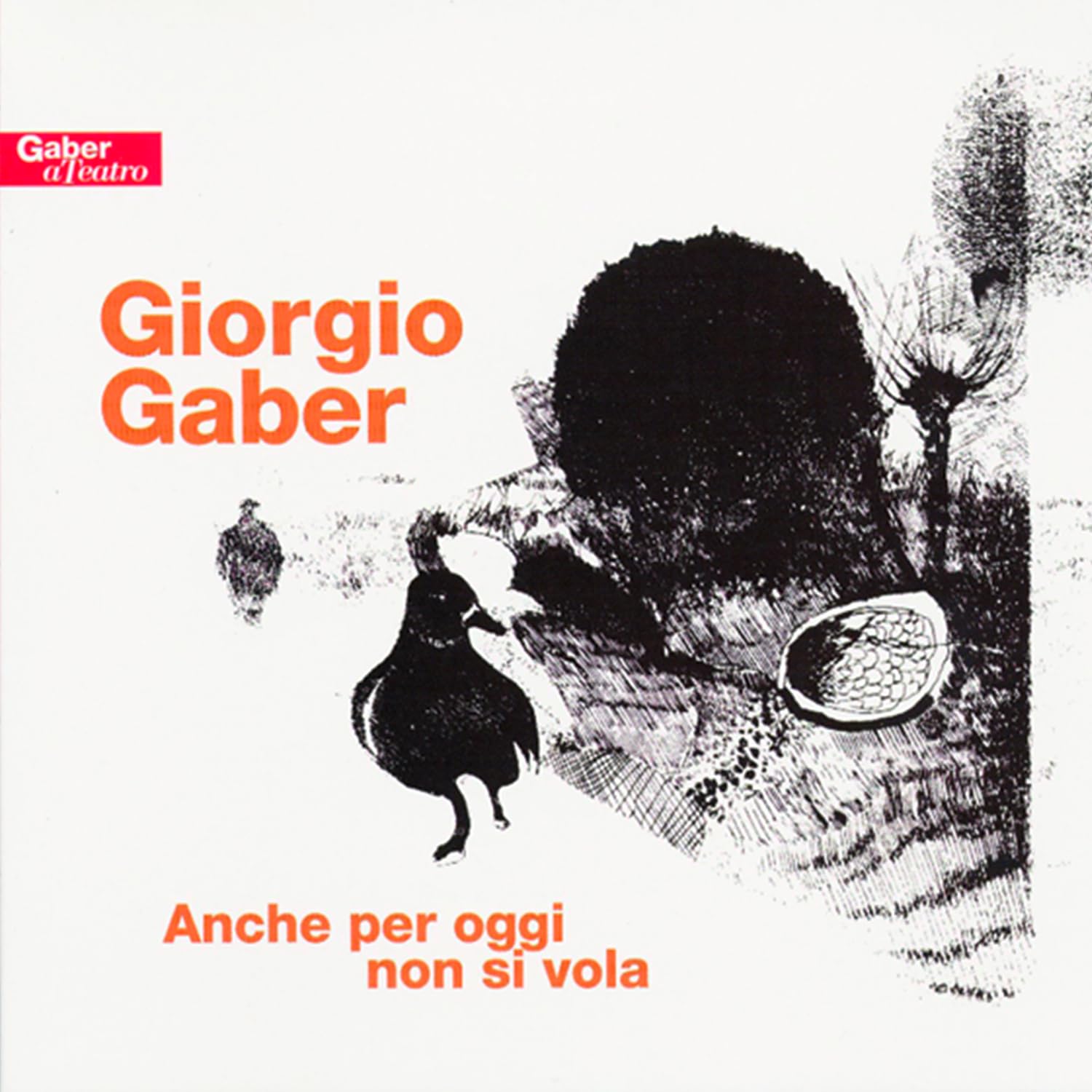 Anche Per Oggi Non Si Vola