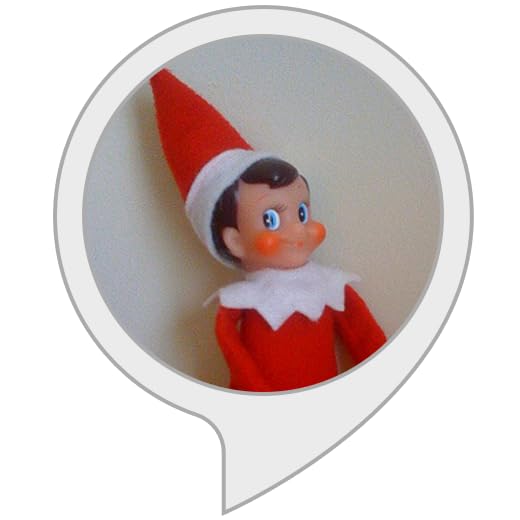 Elf On The Shelf Name