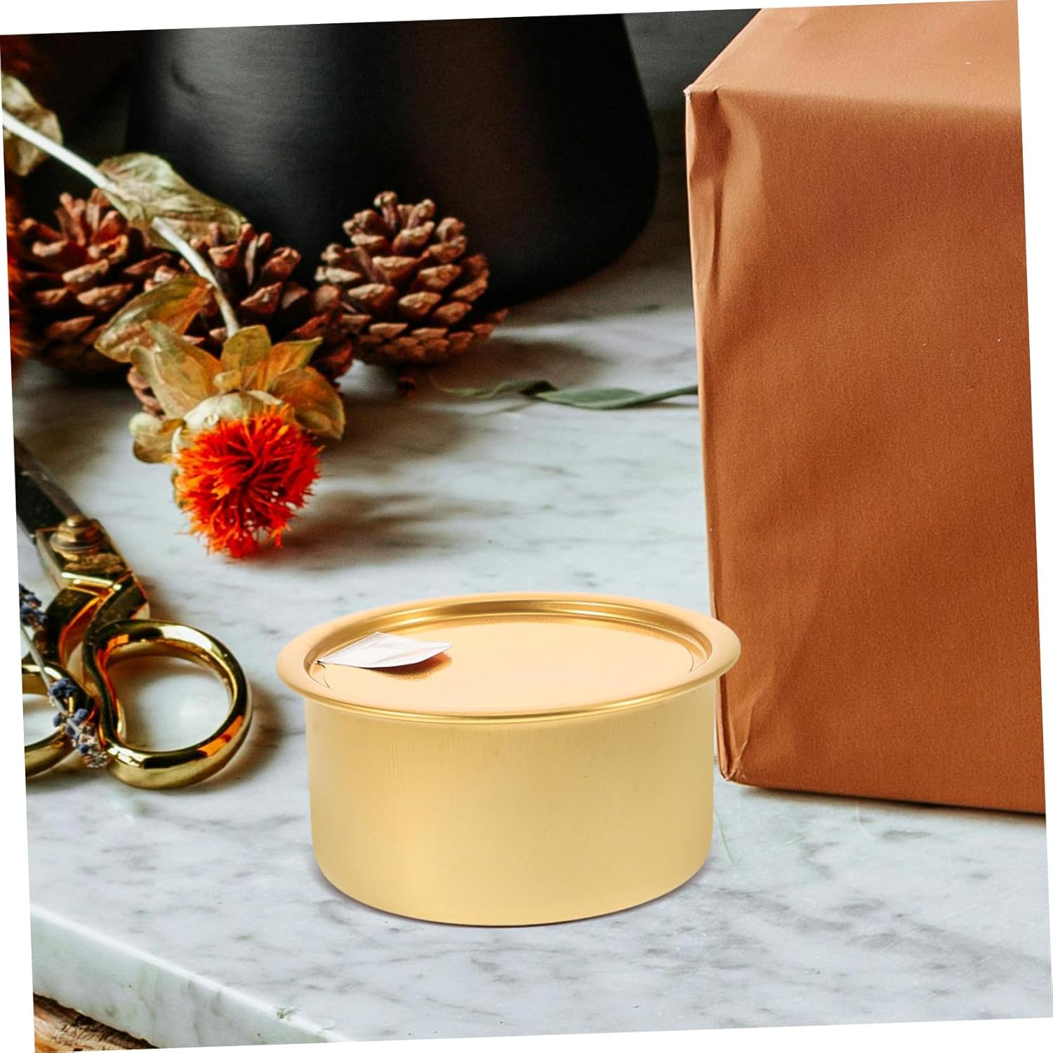 PRETYZOOM 48pcs Empty Food Cans Easy-tear Lids for Pet Food Storage Cake Tins and Dessert Organization and Moisture-resistant