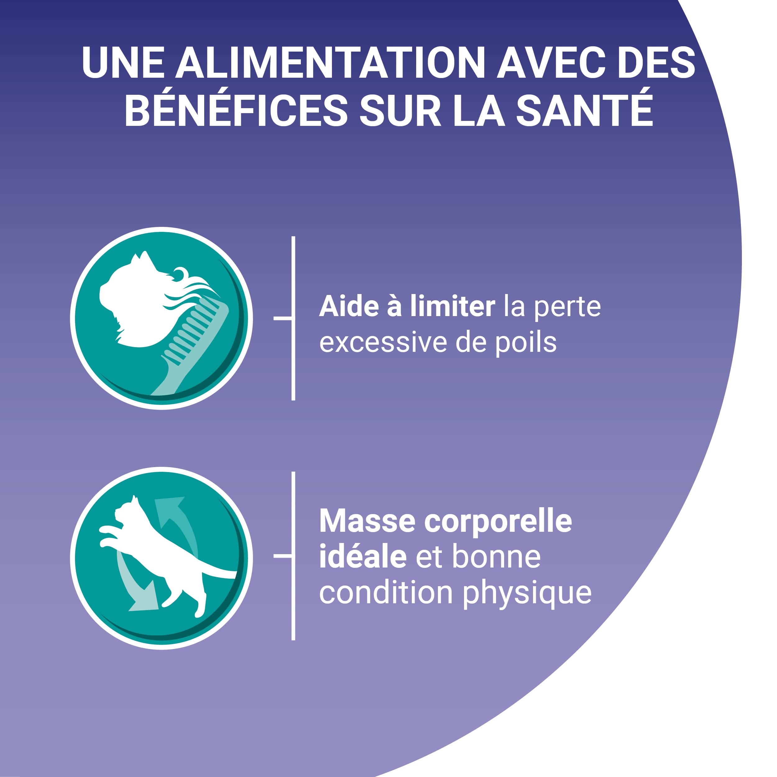 PURINA ONE | BIFENSIS | Spécial Chat Stérilisé d'Intérieur | Effilés en Sauce | Aide à contrôler le poids, et limiter la perte excessive de poils | Thon, Veau | Sachets Fraîcheur | Lot de 12 (4 x 85g)