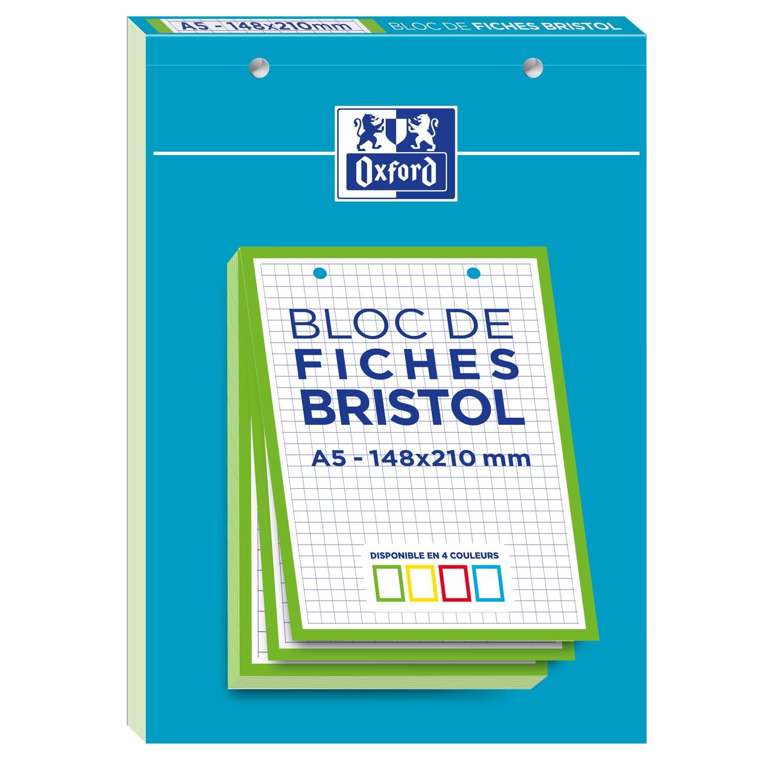 OXFORD Lot de 10 Blocs de 30 Fiches Bristol Perforées 2.0 A5 Q5/5 Bordures vertes
