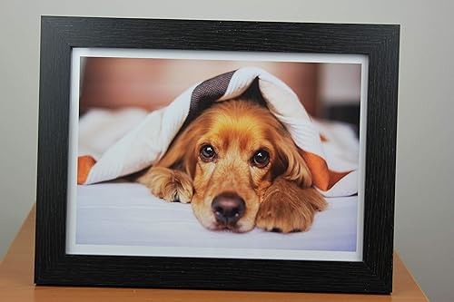 Miniatura 4 de PPD Papel fotográfico brillante para impresora de inyección de tinta, hojas imprimibles de alta calidad de 8 x 10 pulgadas para imagen