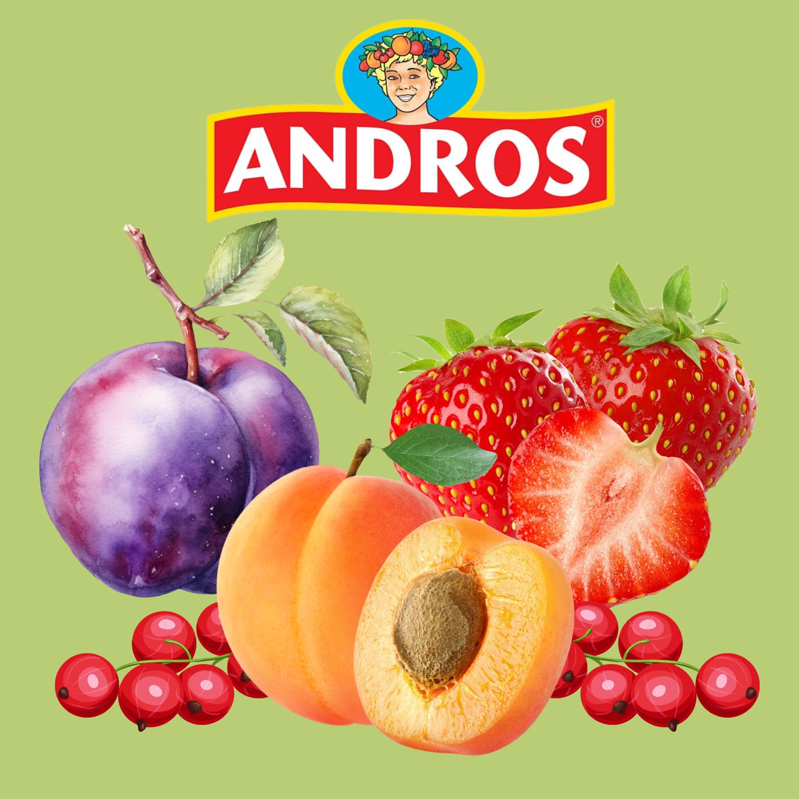 ANDROS | 100 sticks individuels de confiture 20g | 4 parfums pour varier les plaisirs : fraise, prune, groseille, abricot