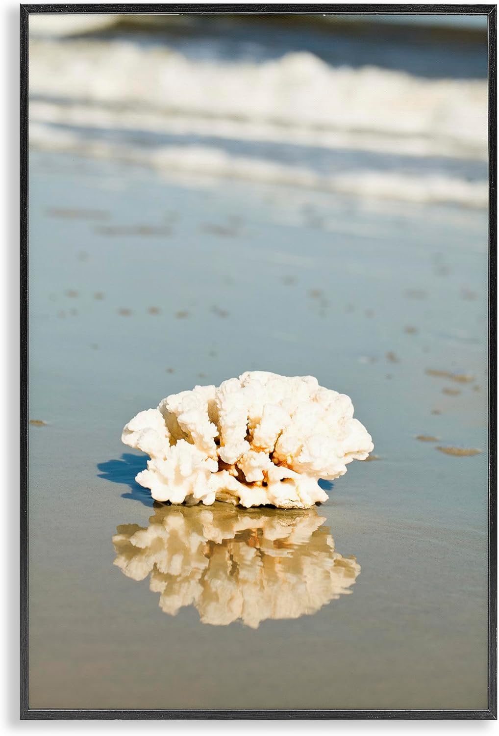 Stupell Industries Coral on Sea Shore Framed Giclee Art Design by Susan Bryant