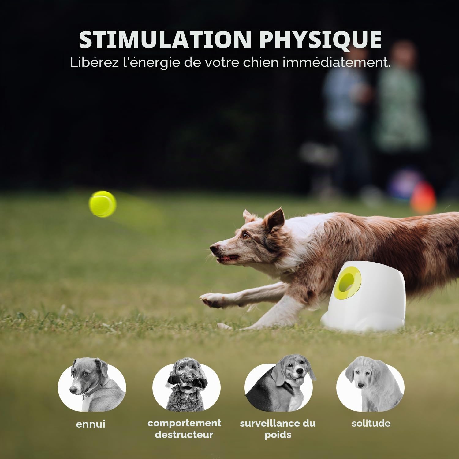 ALL FOR PAWS Ultimates Jouet de Lancer pour Chiens, Lance-Balle Automatique interactif, Machine à Lancer de balles de Tennis pour Chiens de Grande Taille et Grands, 3 balles incluses