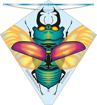 X Kites Buzz Kites Kite Assortment Poly Kite