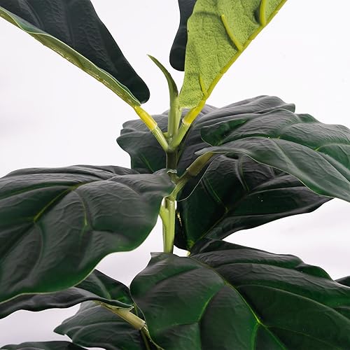 Miniatura 2 de Árbol de higuera artificial de hoja de violín de 6 pies, planta de ficus lyrata artificial en maceta para interiores y exteriores, casa, oficina,