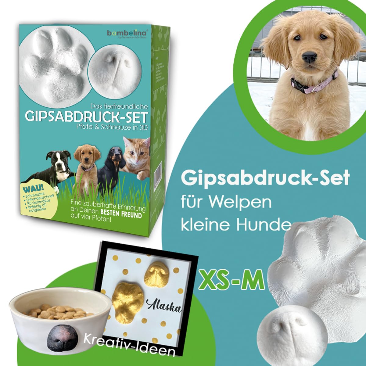 Gipsabdruck Set Hundepfote und Hundenase. 3D Abdruck-Set Hund und Katze für Pfote und Schnauze, wiederverwendbare Gießform, Deutsche Herstellung, Pfotengröße XS bis M