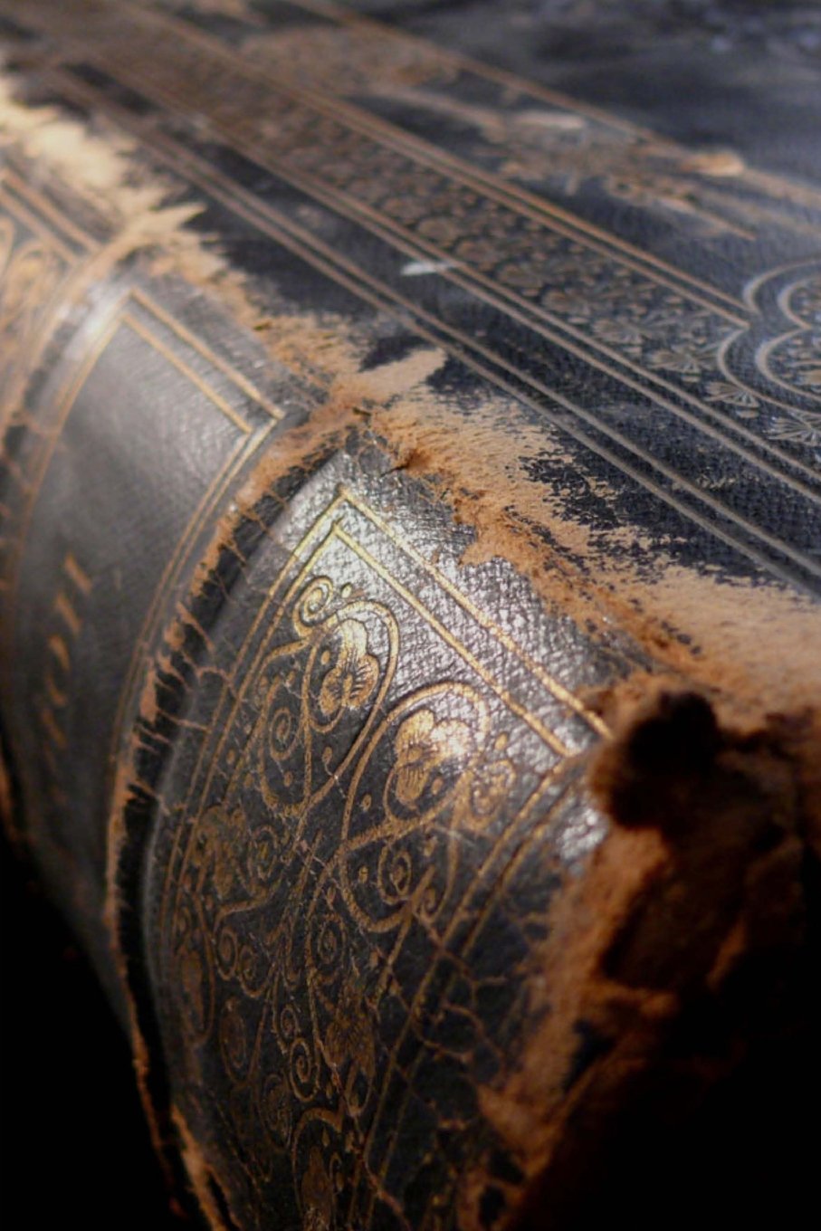 Old Book: Blank 200 page journal