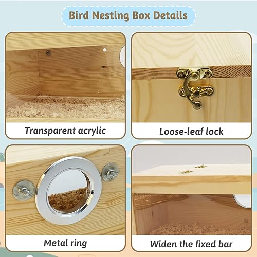 Miniatura 5 de Fhiny Caja nido de periquitos, caja de madera para cría de pájaros para jaula con perca, nido de periquito acrílico transparente para tortolitos,
