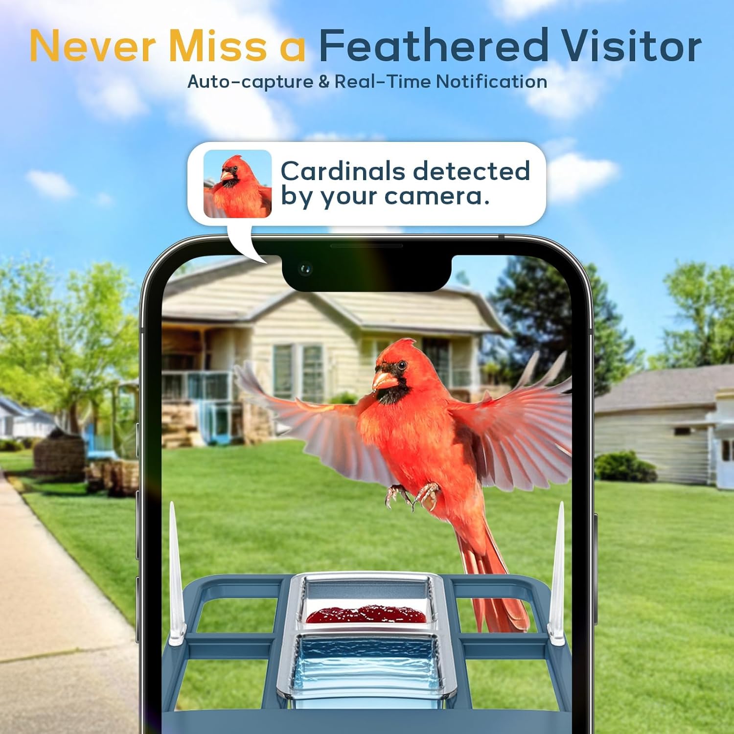 Fazoxo BF11 Smart Bird Feeder Camera in the rain, highlighting its weatherproof design