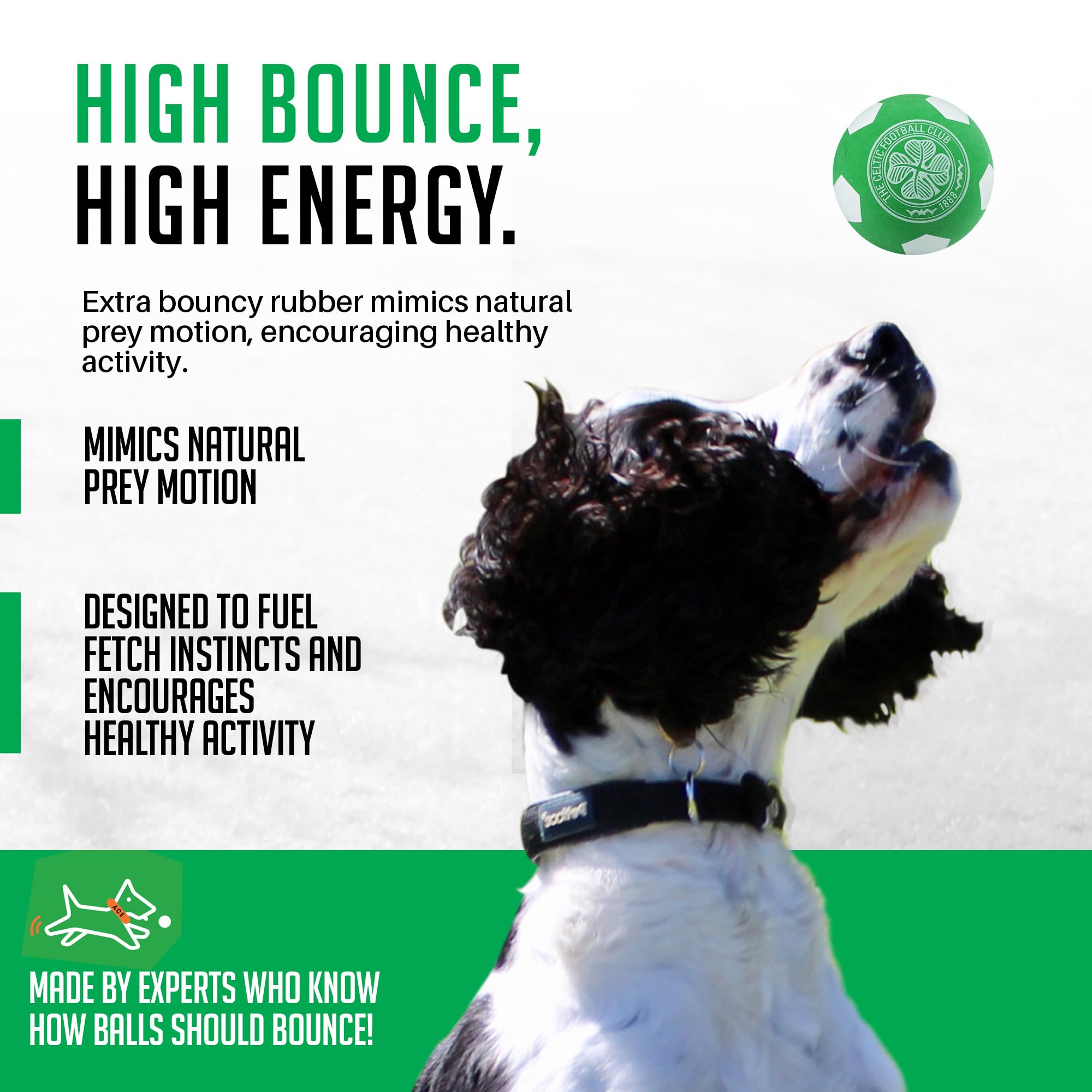 SPORTSPET x Celtic High Bounce Dog Balls, Green, White, 60mm - Image 4