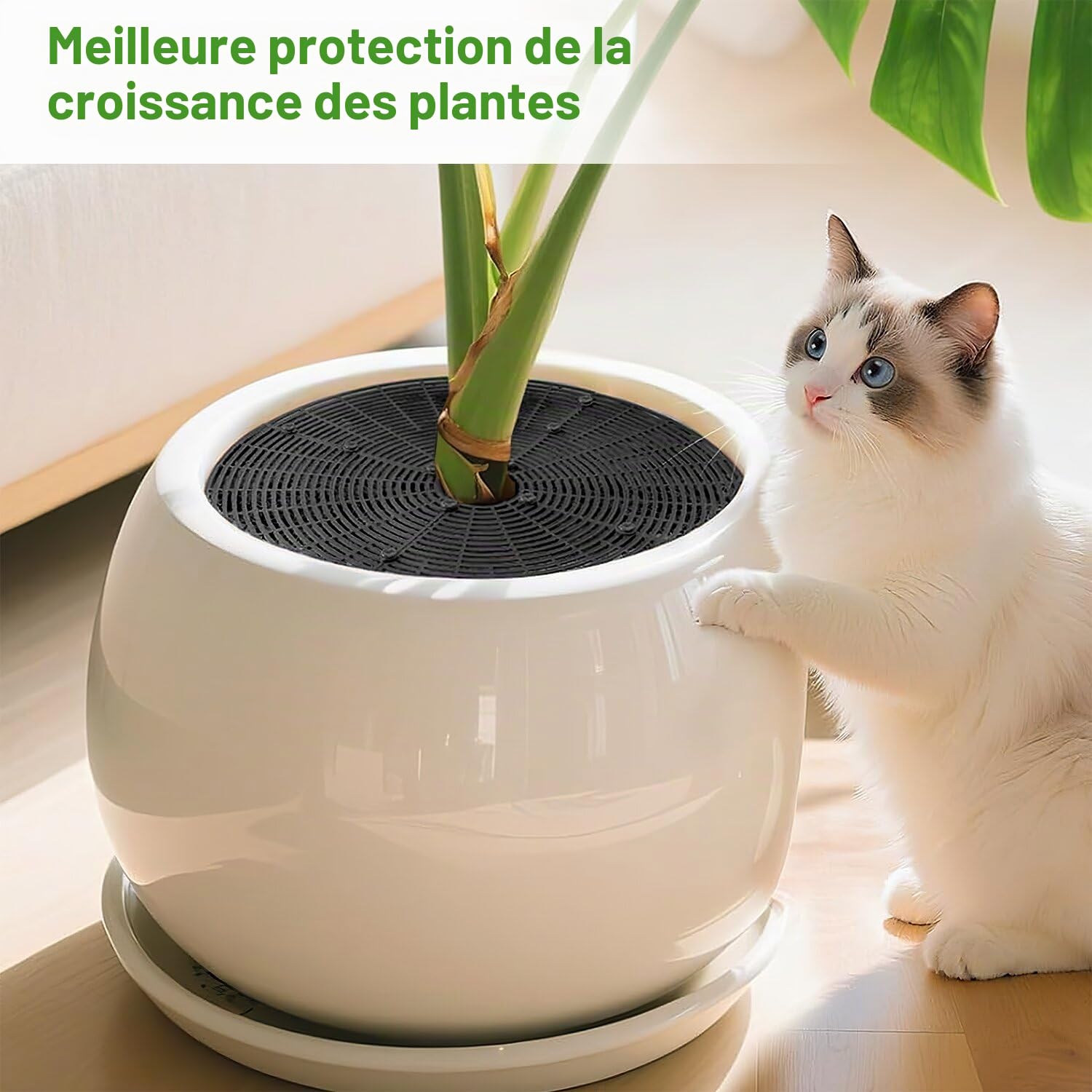 Grille Protection Plante 2pcs Protection Plante Chat 52cm Pot de Fleurs Grille Environnement Protections Plantes Interieur Chat Non Toxique Pour Protéger les Enfants et les Animaux Domestiques