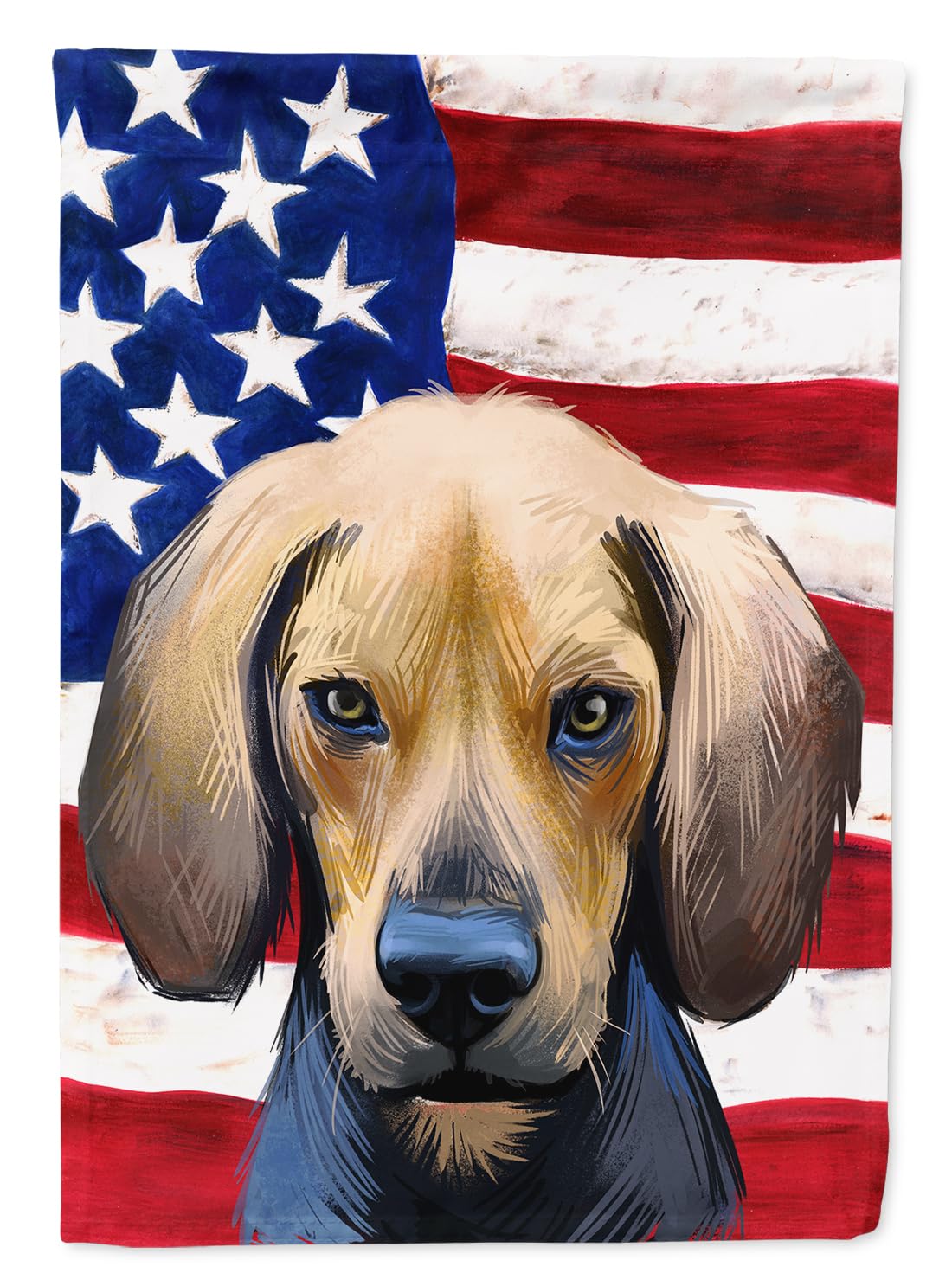 Drapeau en toile Kerry Beagle American Flag de maison de qualité supérieure