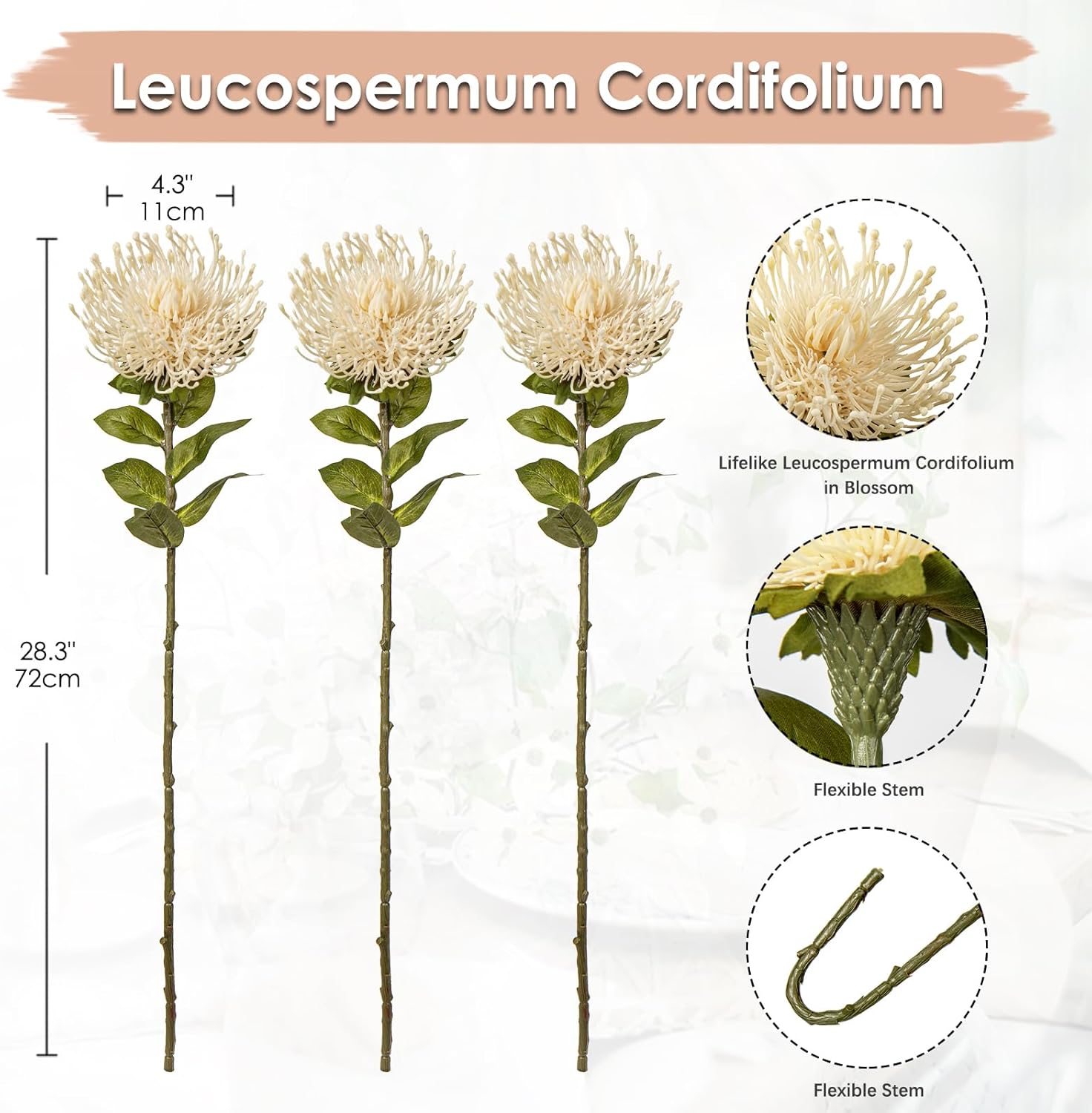 Hollyone 3 Pcs White Artificial Spider Mum 28.3'' Long Stem Fake Chrysanthemum Flowers Leucospermum Cordifolium Arrangement Faux Pincushion Flowers Office Table Bouquet Home Decor