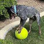 Review Image by Jules Jules