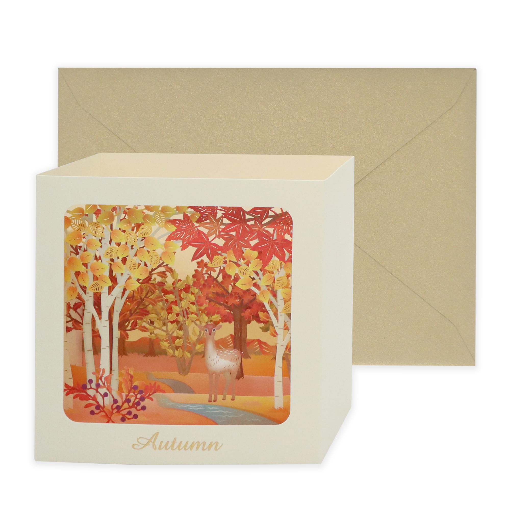 Amazon | 【 立体 ボックス メッセージ カード 秋 】 紅葉の森 リーフ
