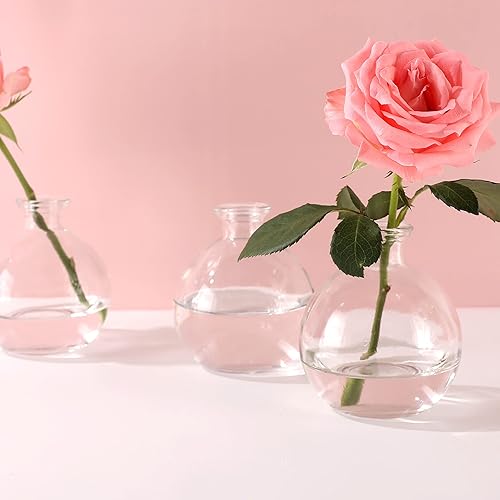 Miniatura 3 de Magic Season Botellas de vidrio decorativas con tapones de corcho (9 fl oz. botellas de poción / 6 piezas)