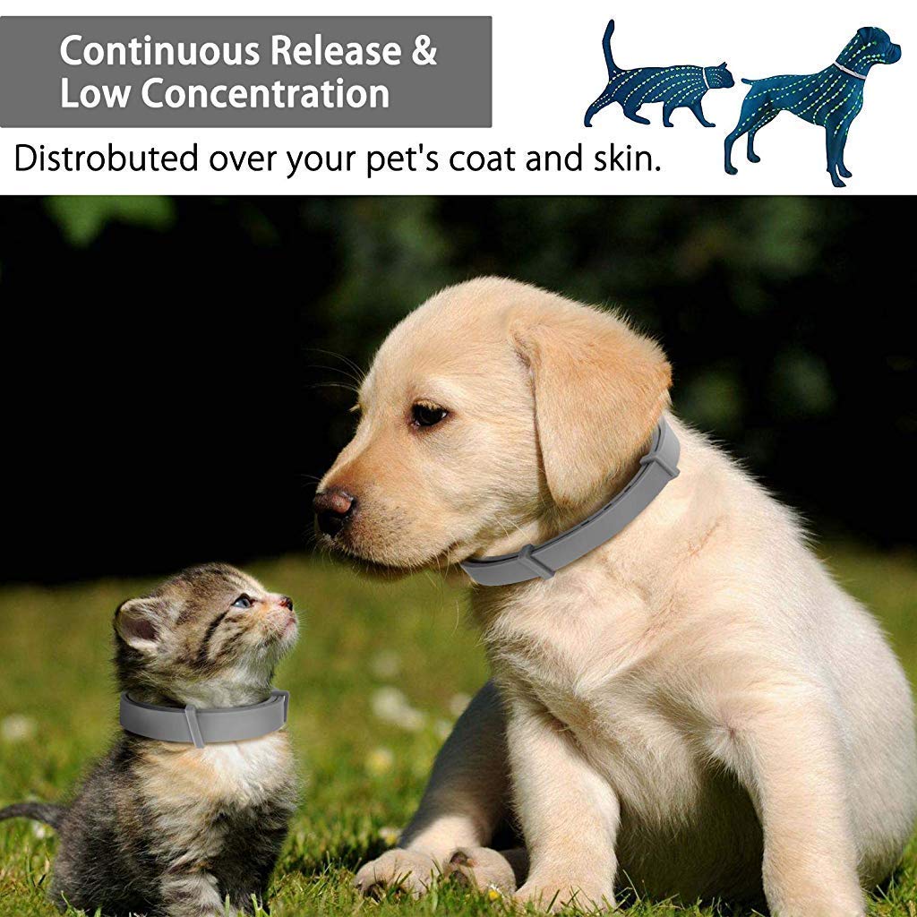 CRAZYABBS Flea and Tick Collar - 8 Month Protection Adjustable Waterproof Collar for Dog Puppy Kitten Cats, Natural & Safe Efficiently Repell Locust Lice of Pets 4