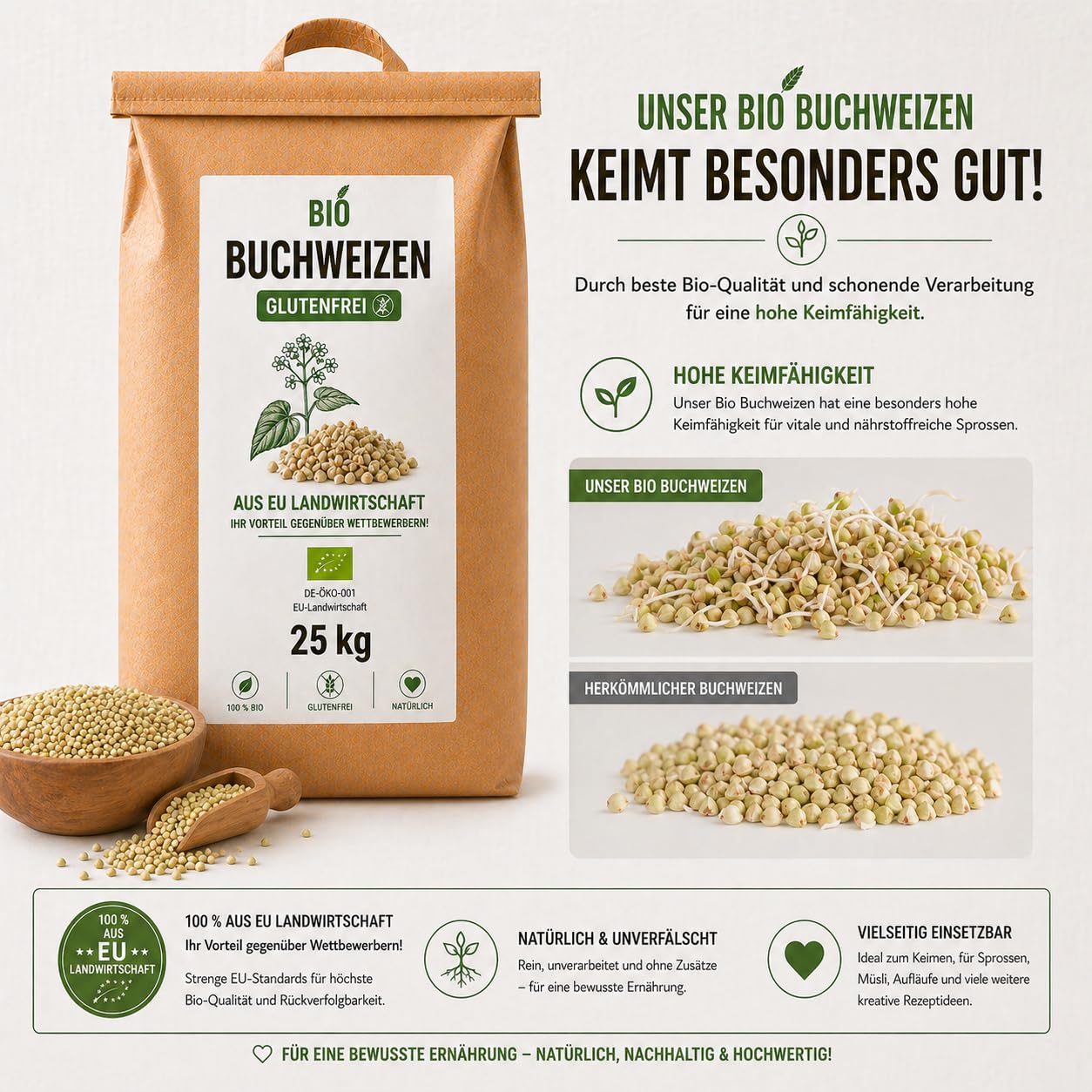 Bäckerei Spiegelhauer Grano saraceno biologico decorticato 25 kg I Senza glutine germinabile I Provenienza Lituania I Per pane germogliato germogli e farina vegano