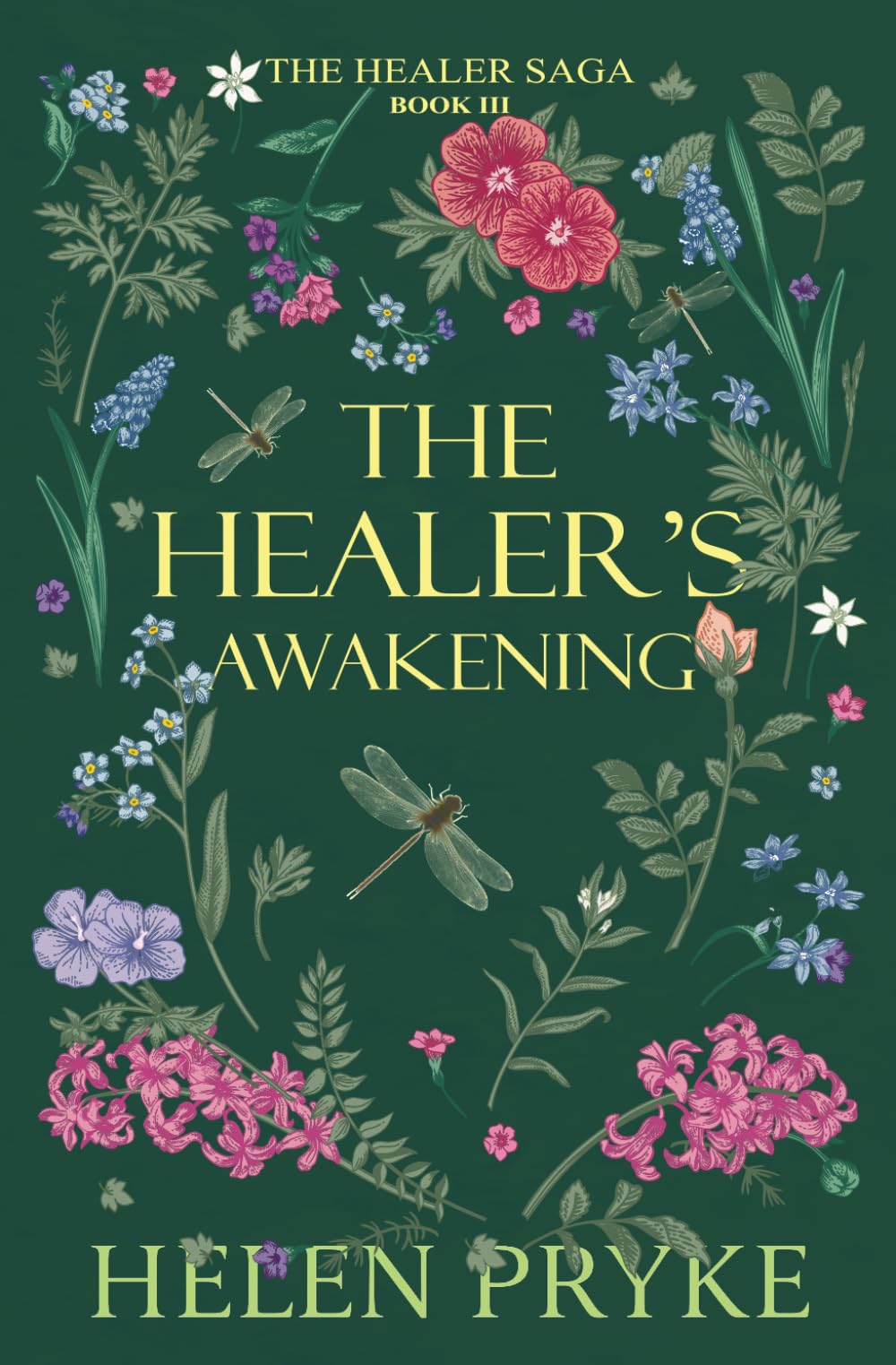 The Healer's Awakening (The Healer Saga)