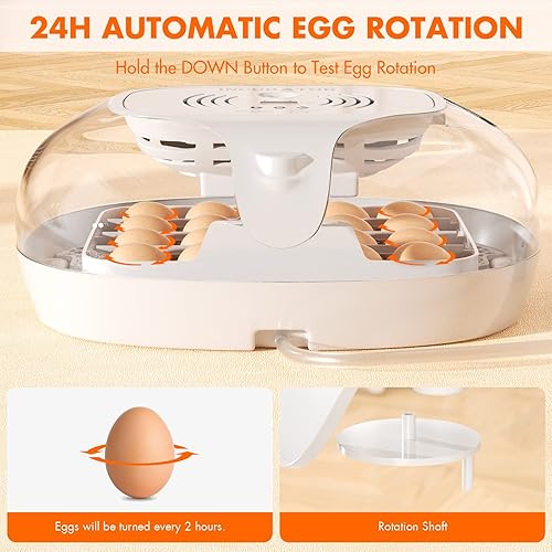 Miniatura 3 de Incubadora digital automática mejorada, simulador de incubación natural de 16 huevos, enrollamiento automático de huevos y llenado de agua, control
