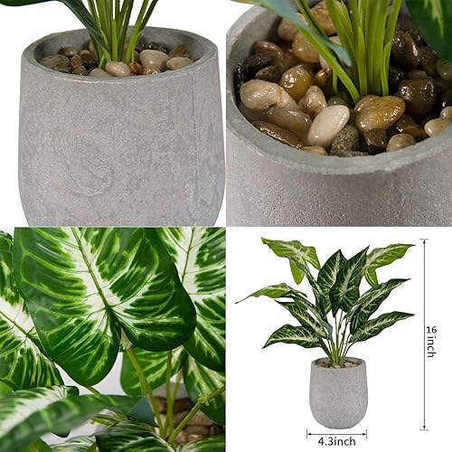 Miniatura 9 de Der Rose Plantas falsas de 16 pulgadas, plantas artificiales en maceta para oficina, escritorio, hogar, baño, decoración