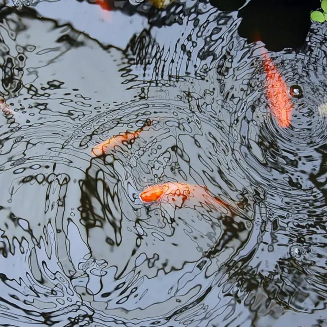 HDPE-Teichfolie 10x8m, wasserdichte Membran für Wassergärten, Fischteiche, Wasserfälle und Springbrunnen, strapazierfähige Abdeckung für Wasserlandschaften