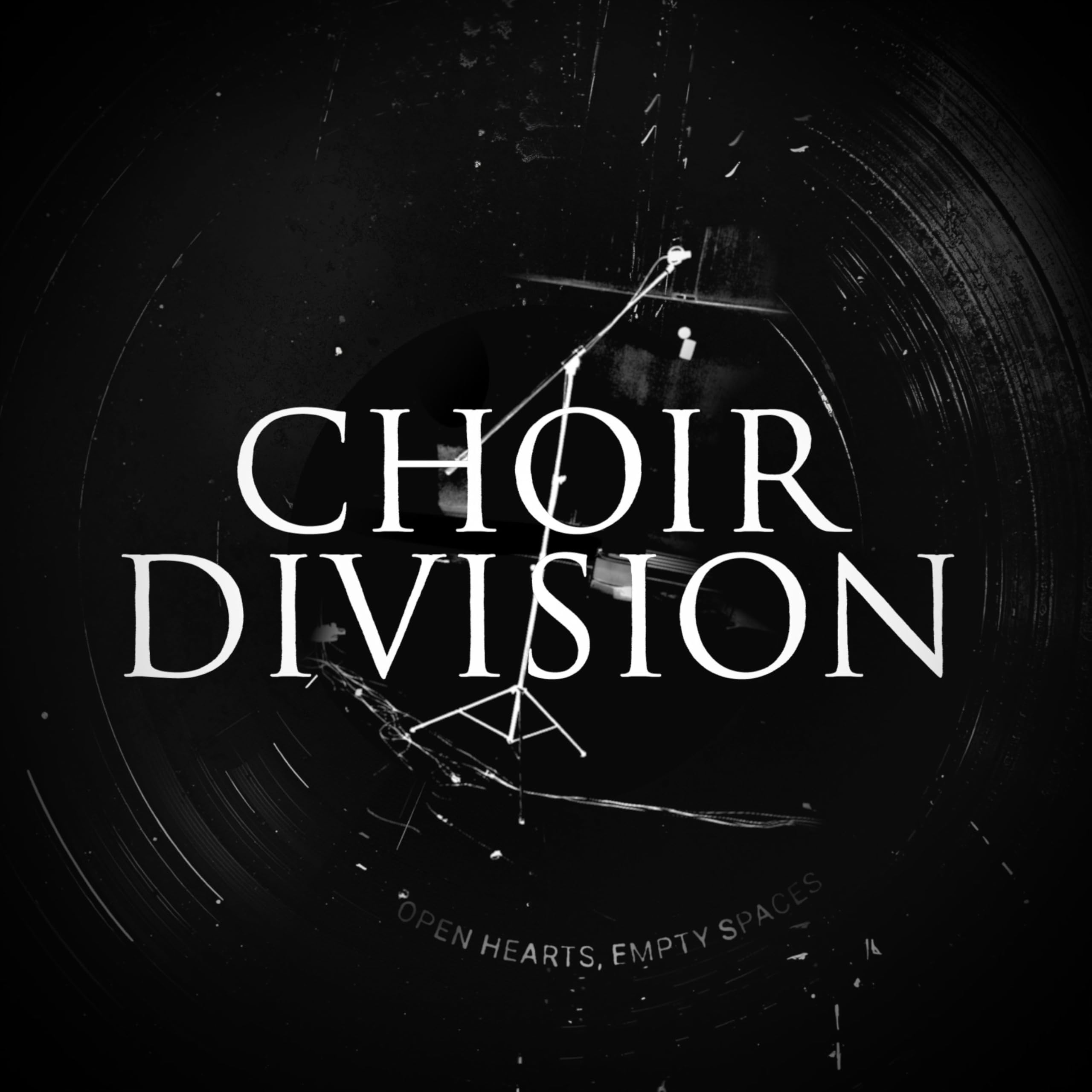Open Hearts, Empty Spaces [VINYL]