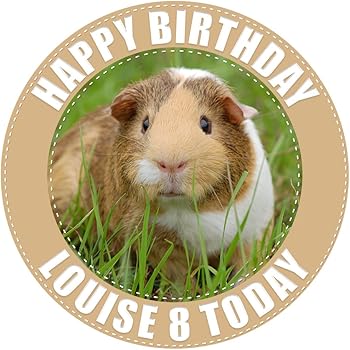 guinea pig cake topper